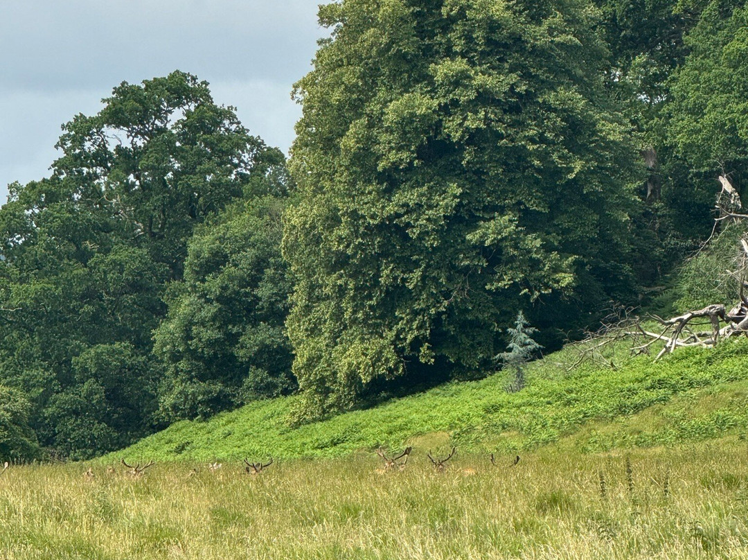 Dinefwr-兰代洛必去景点