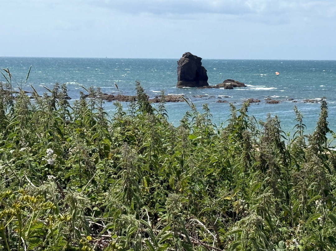 e-Xplore Devon-金斯布里奇必去景点