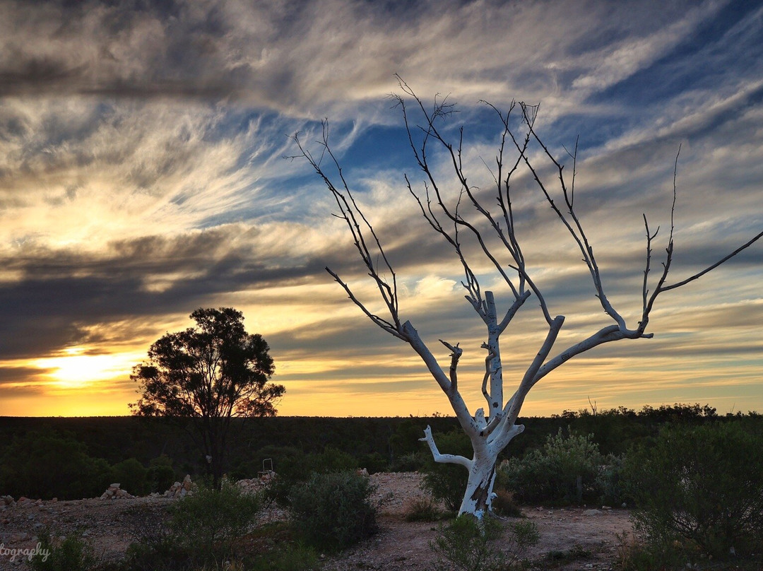 Nettleton First Shaft Lookout-Lightning Ridge必去景点