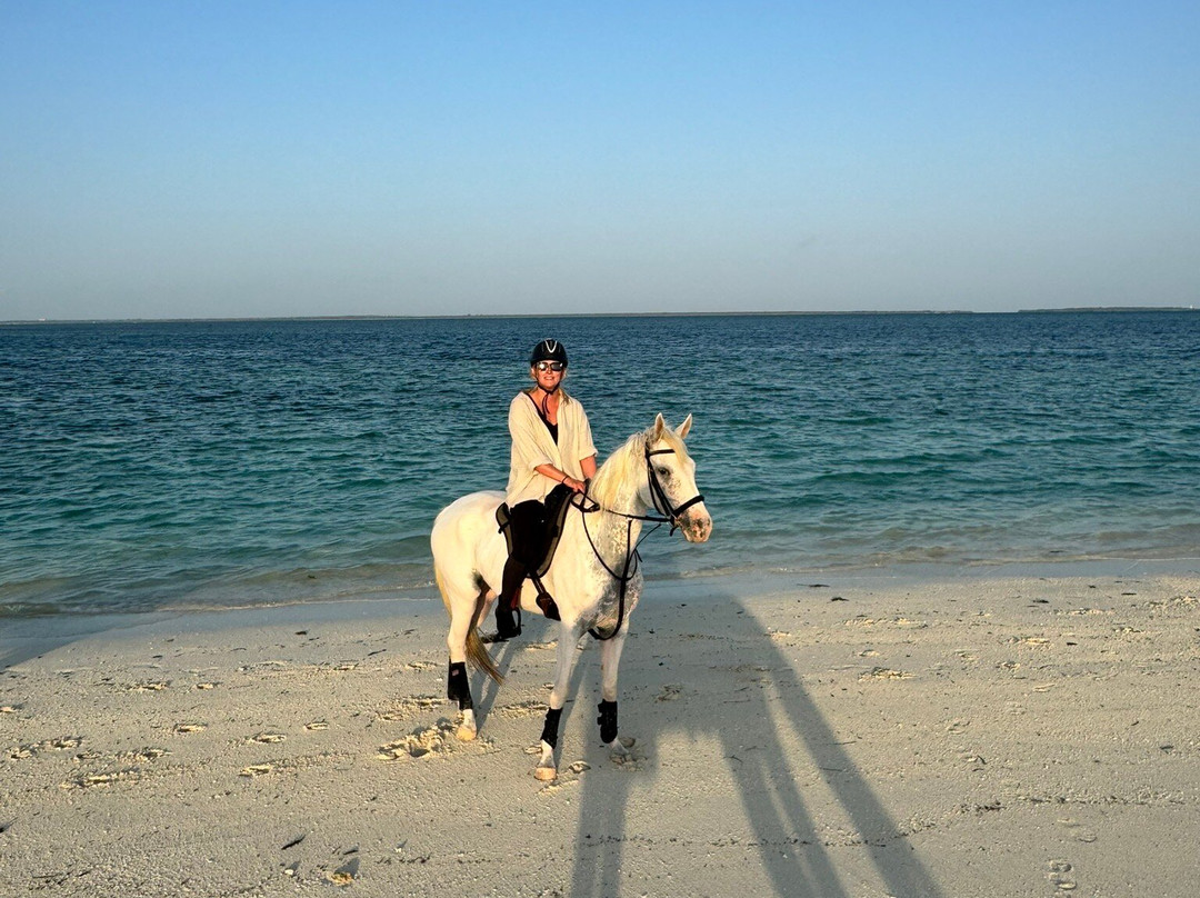 Zanzibar Horse Club-孥归必去景点