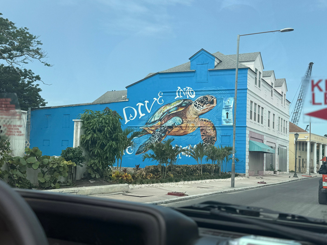 Adventures Caribbean-拿骚必去景点