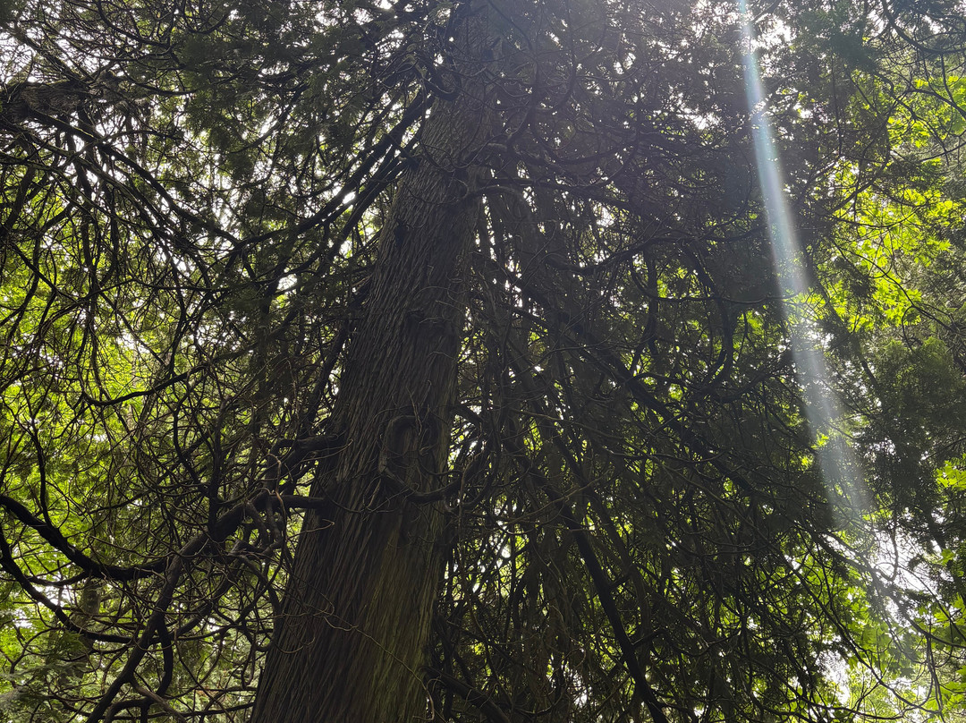 Manitou Island Transit-Leland必去景点