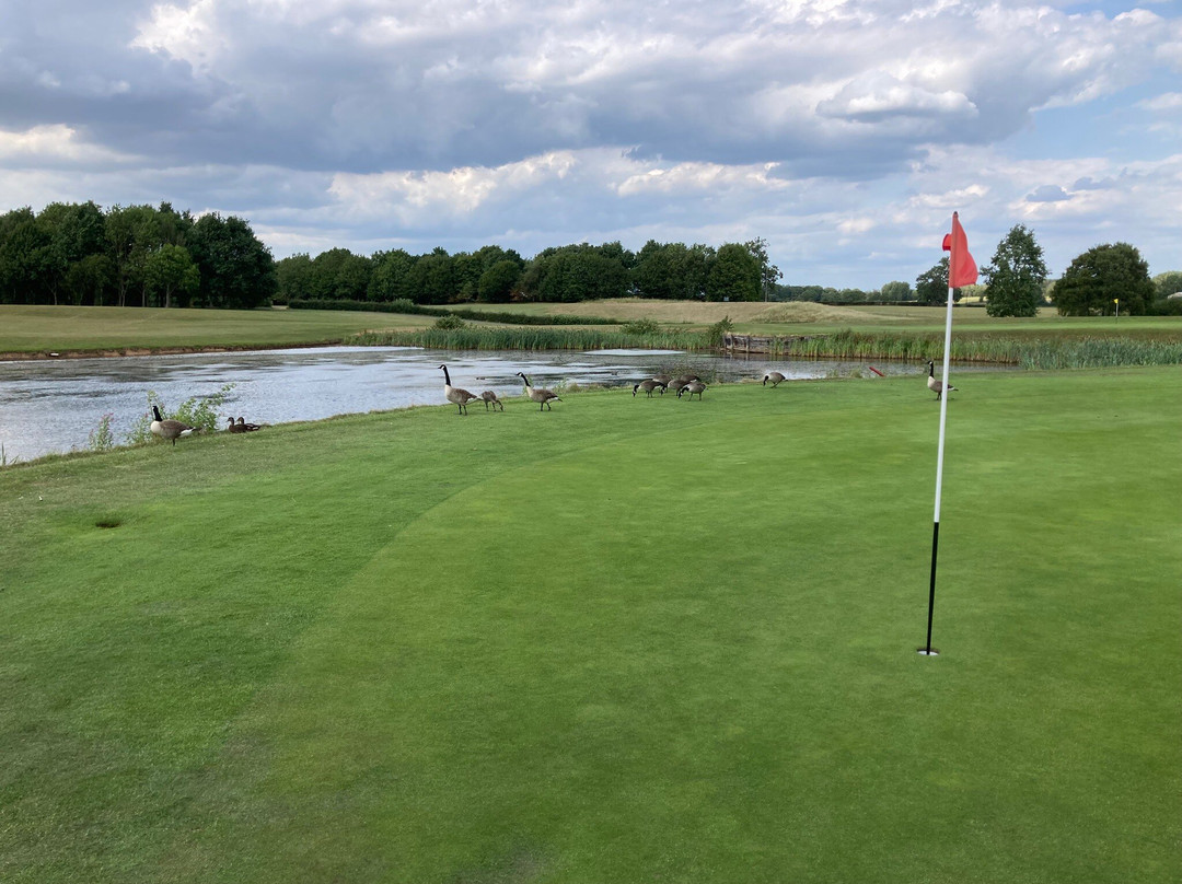 Romanby Golf and Country Club-诺萨勒顿必去景点