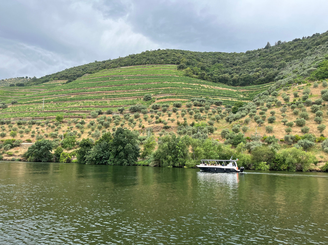 Companhia Turística do Douro-Pinhao必去景点