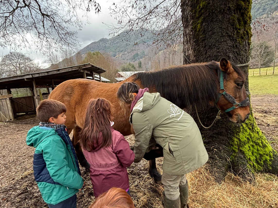 Alma Equina Pucon-普孔必去景点