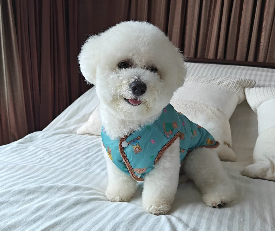 The Bark - An Art Hotel主图