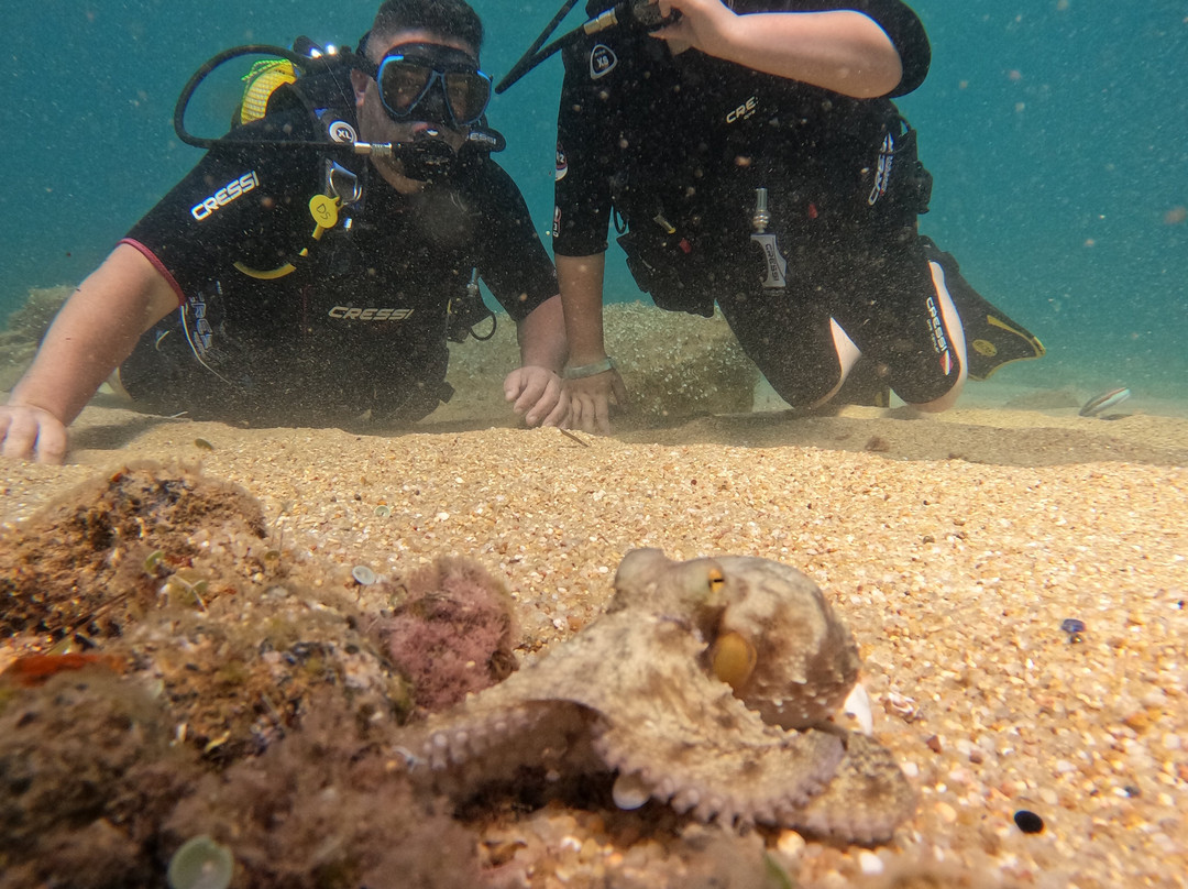 Diversub-Calonge必去景点