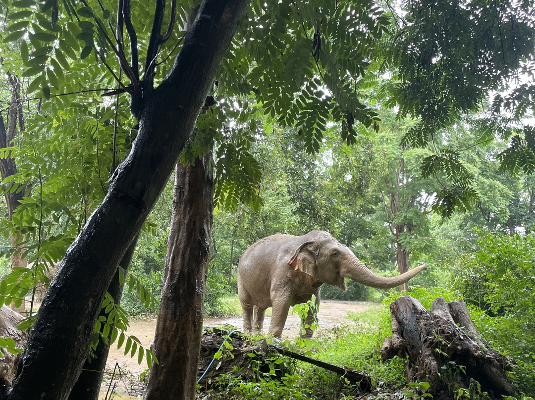 Somboon Legacy Foundation-Klon Do必去景点