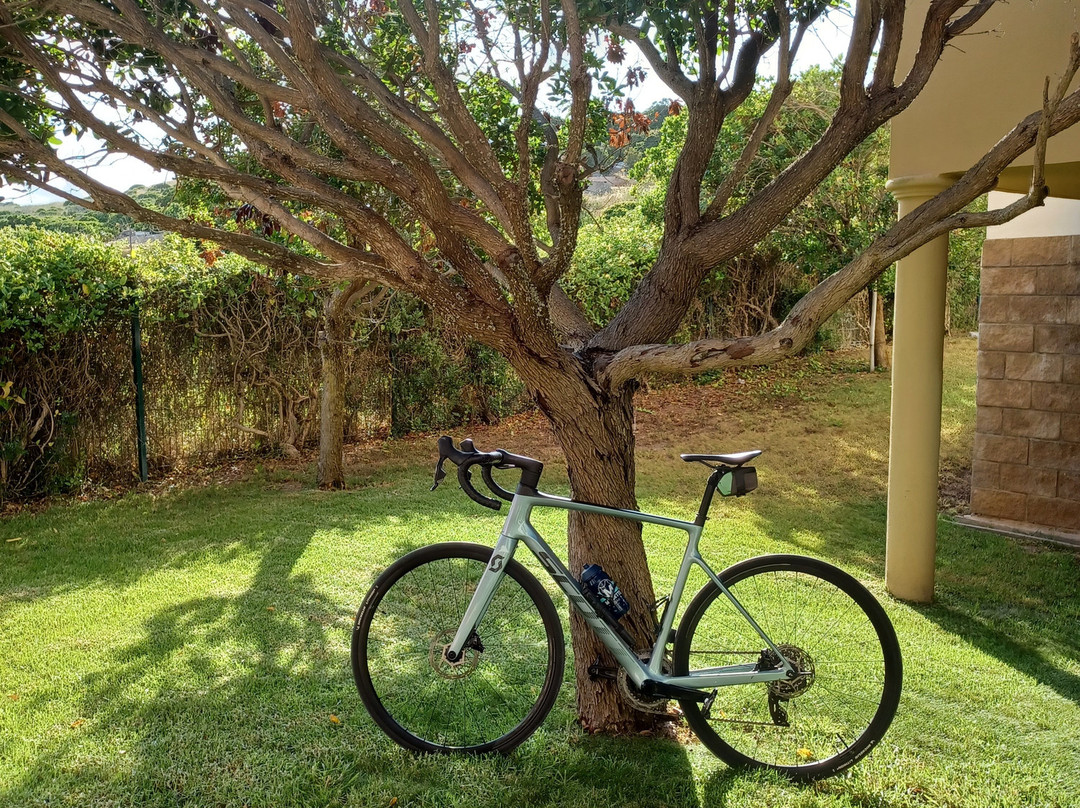 Musette.bike-Almadena必去景点