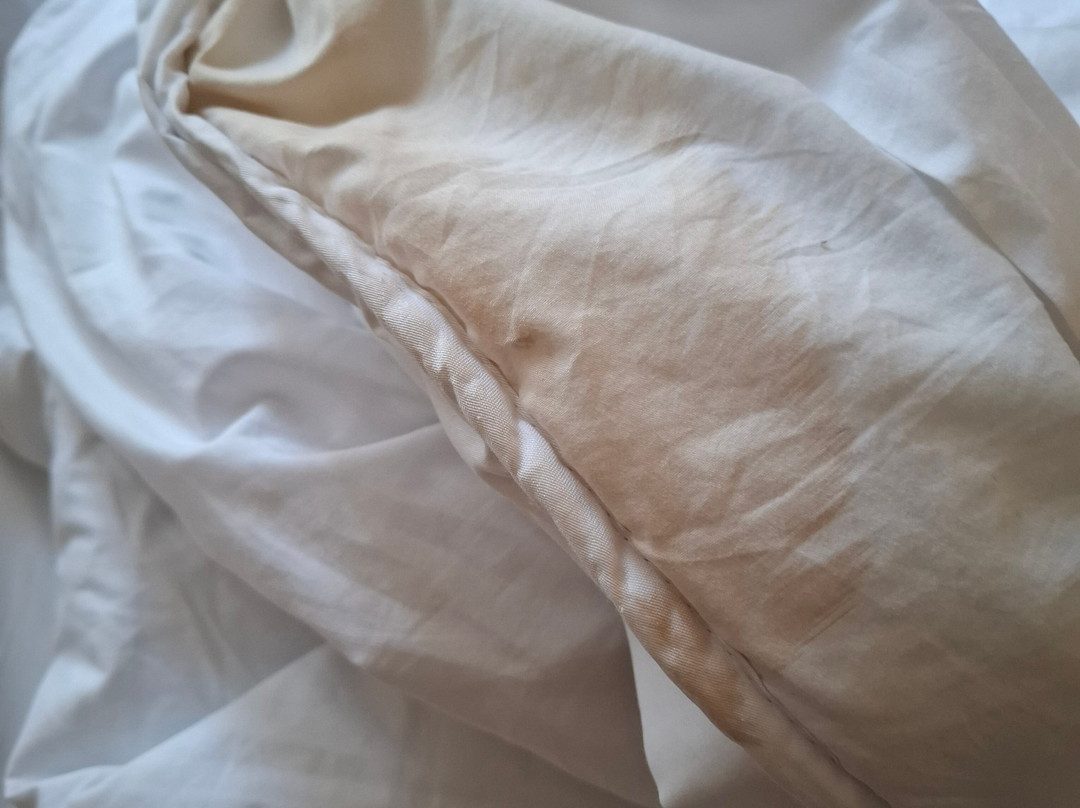 Hotel Pezzotti主图