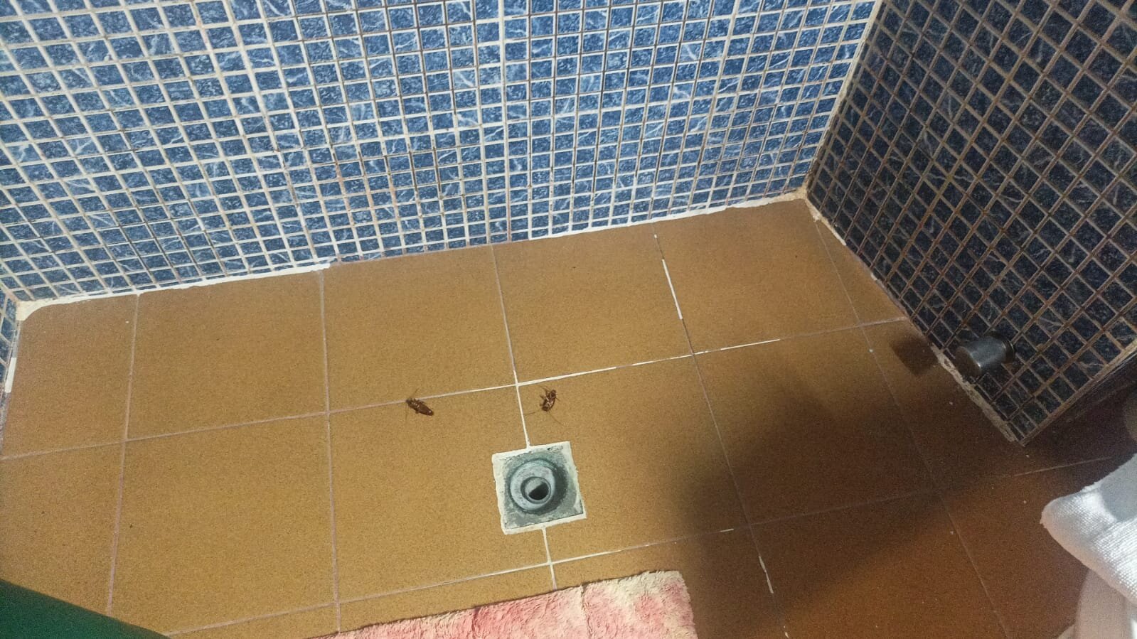 Hotel La Ventana-官方