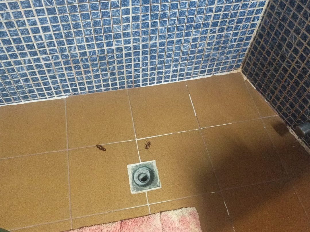 Hotel La Ventana主图