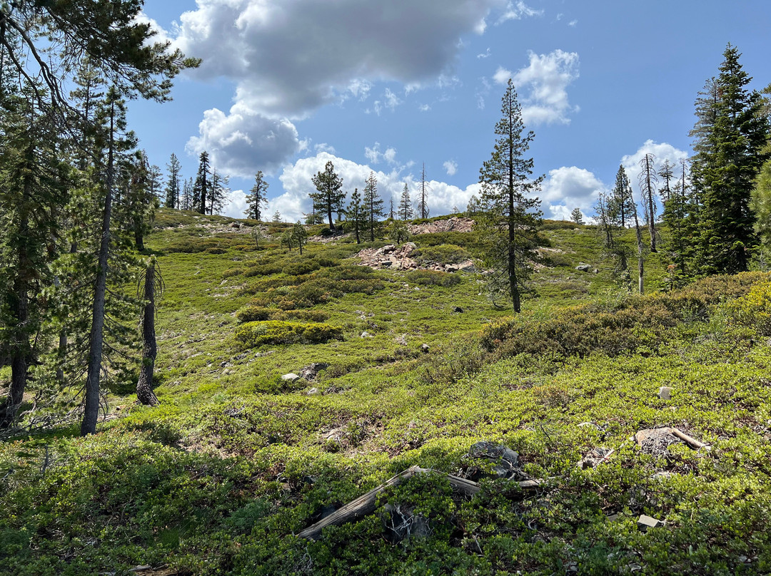 Gold Lake Lodge主图