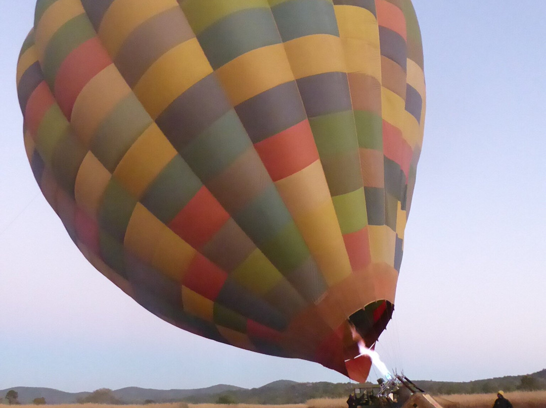 Bill Harrop's Original Balloon Safaris-Magaliesburg必去景点
