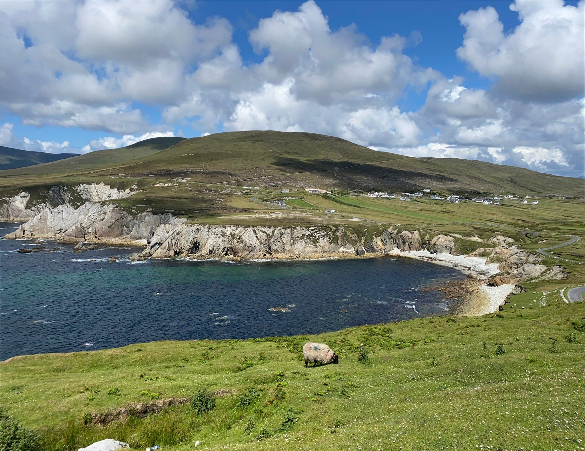 Joyce's Marian Villa Guesthouse-官方