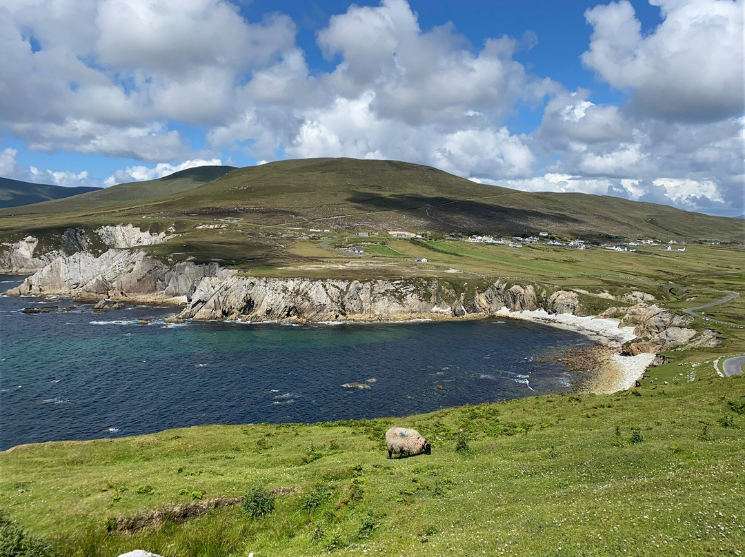 Joyce's Marian Villa Guesthouse主图