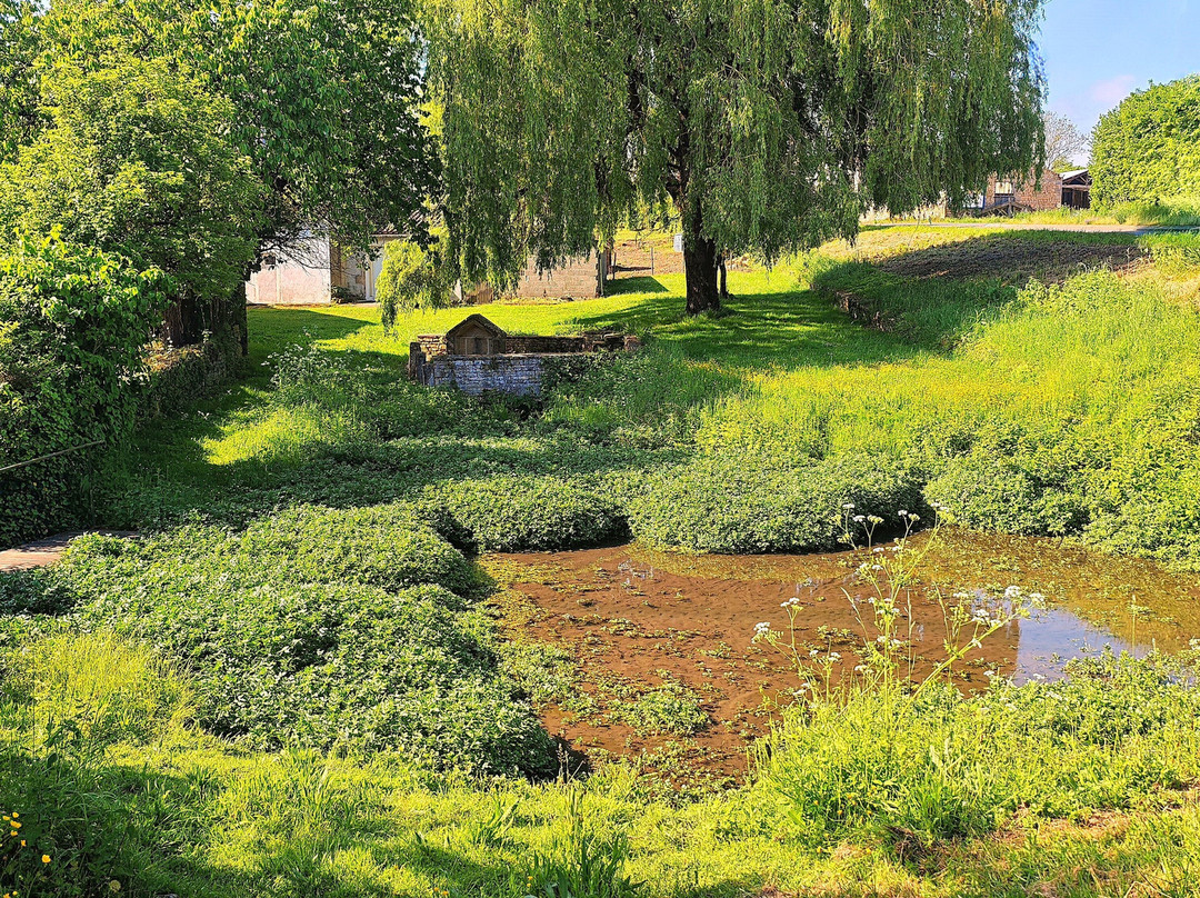 Fontaine Et Lavoir De Chey-Melle必去景点