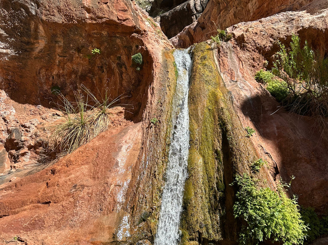 Oars Grand Canyon-弗拉格斯塔夫必去景点