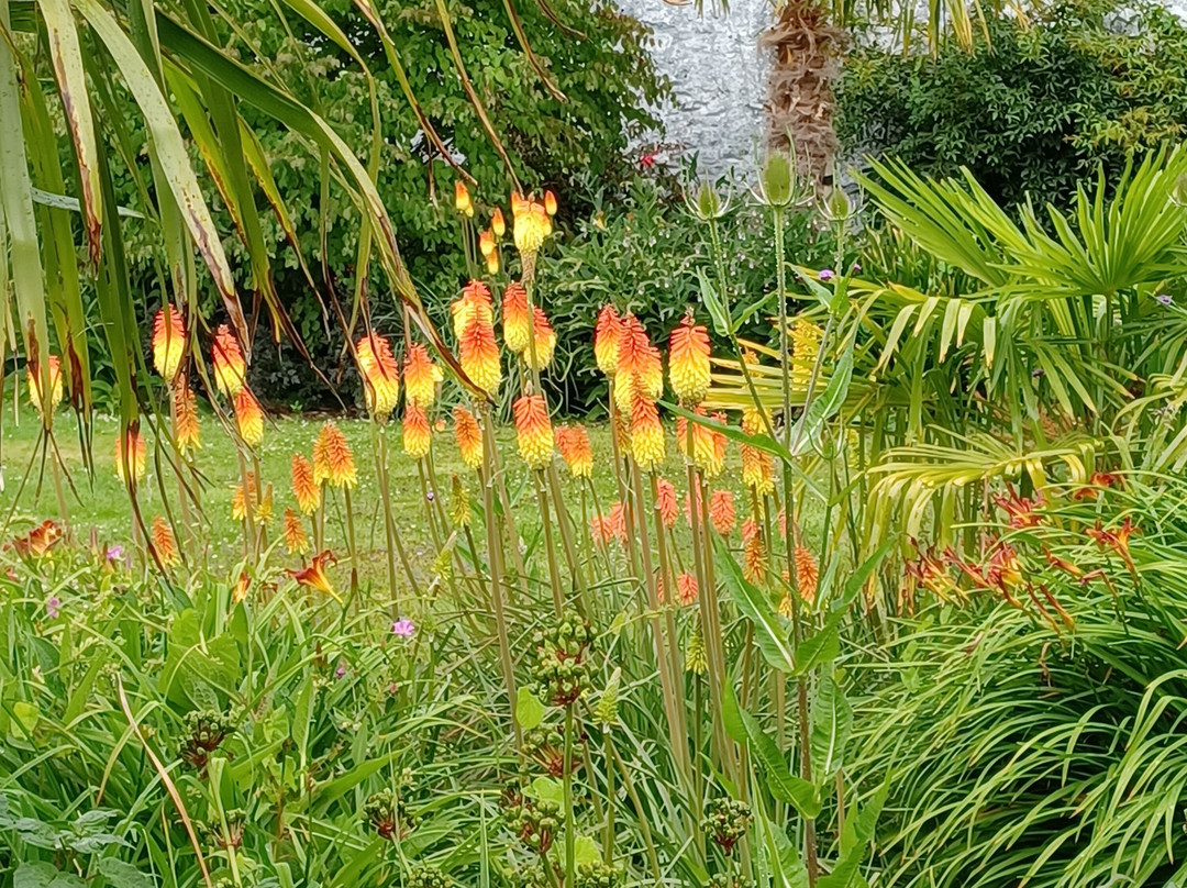 Milntown House and Gardens-Ramsey必去景点