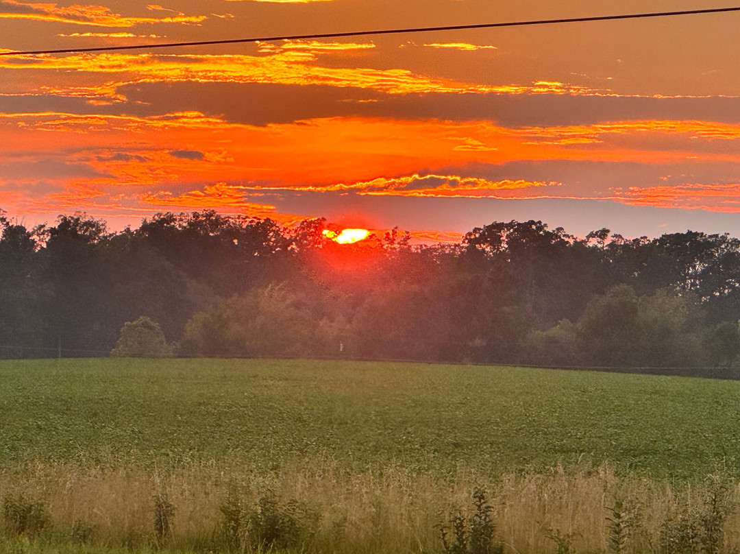 Best Western Plus Parkside Inn & Suites主图