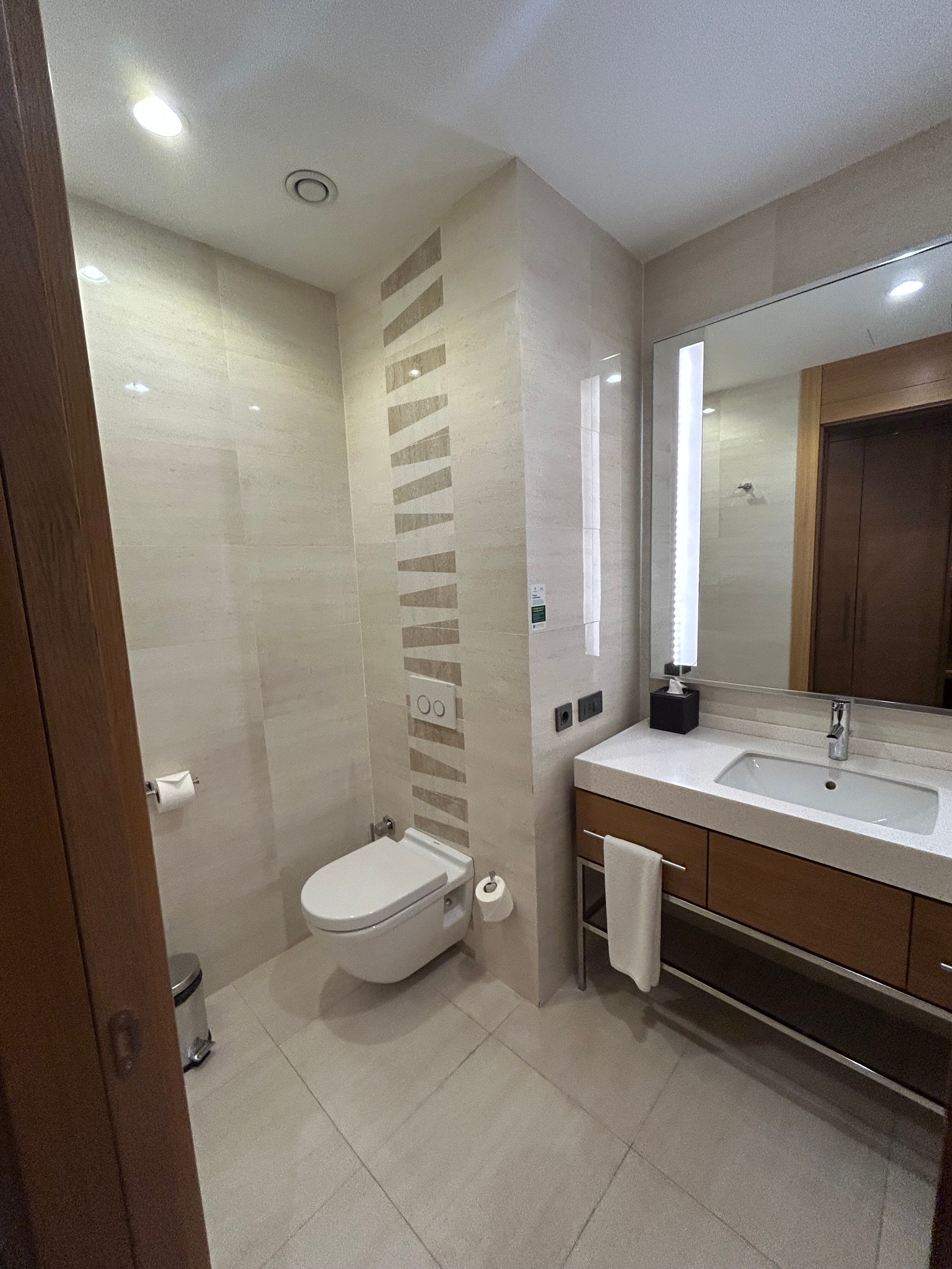 Holiday Inn Baku By IHG-浴室
