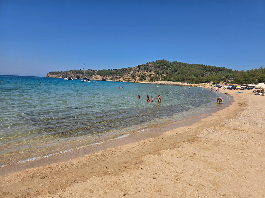 Royal Paradise Beach Resort & Spa主图