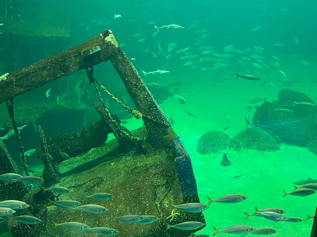 Nordsoen Oceanarium-赫茨哈斯必去景点