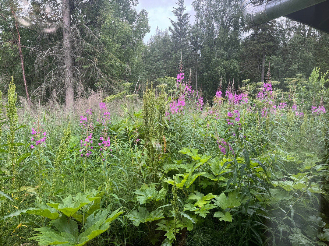 格温小木屋和餐厅主图