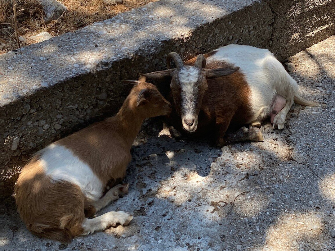 Nanou Beach-Symi必去景点