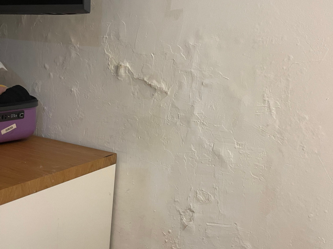 所罗门王酒店主图