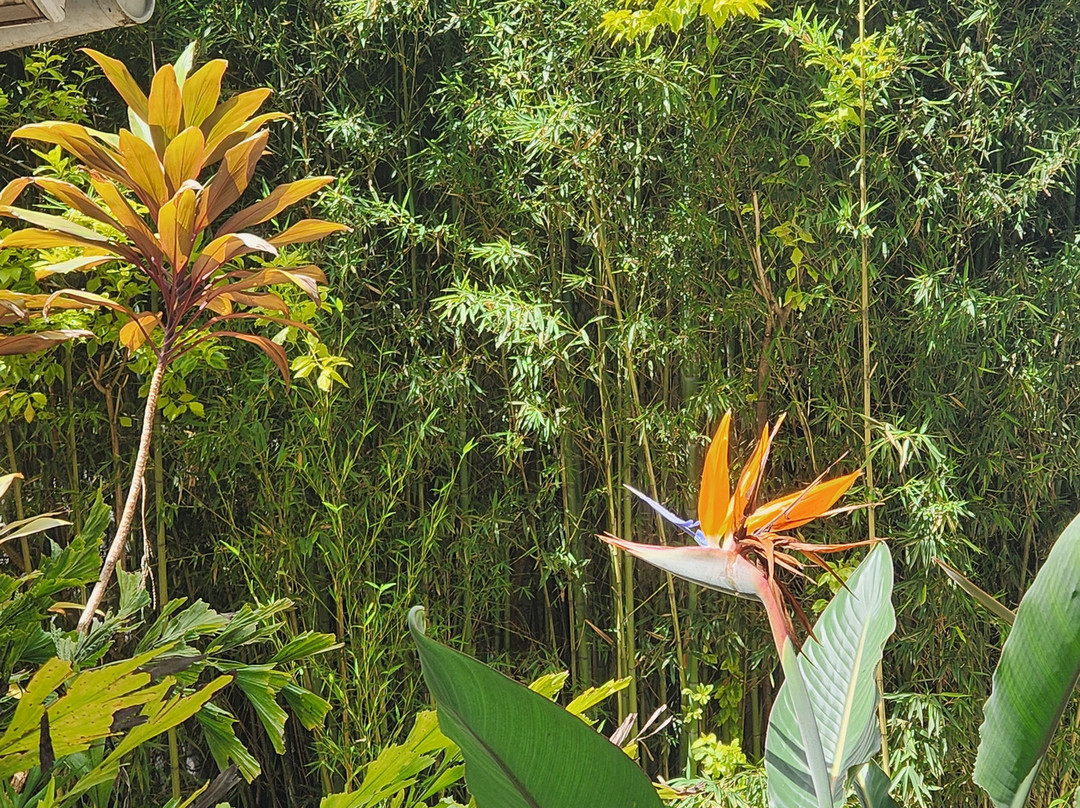 Serenity Spa-内罗毕必去景点