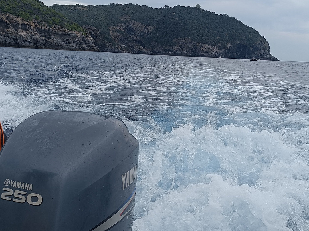 L'escapade En Mer-Carqueiranne必去景点