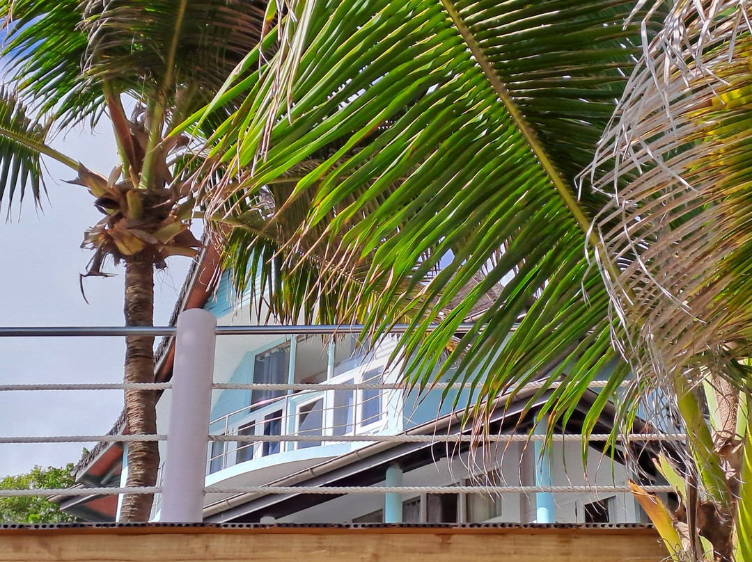 Anse Patates Beach-拉迪格岛必去景点