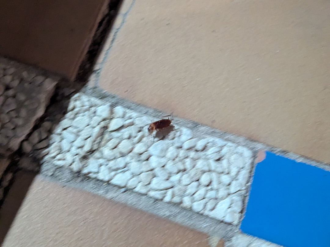 OH 戴安娜公園飯店主图