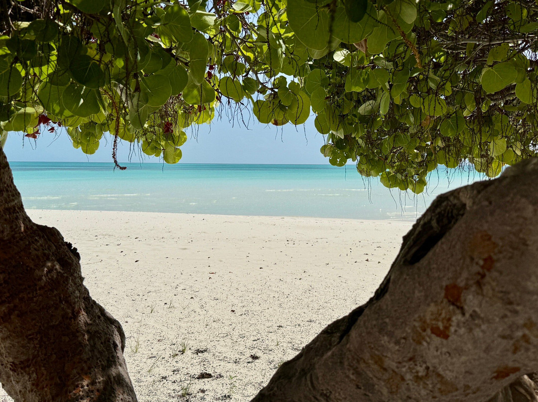 Cape Santa Maria-长岛必去景点