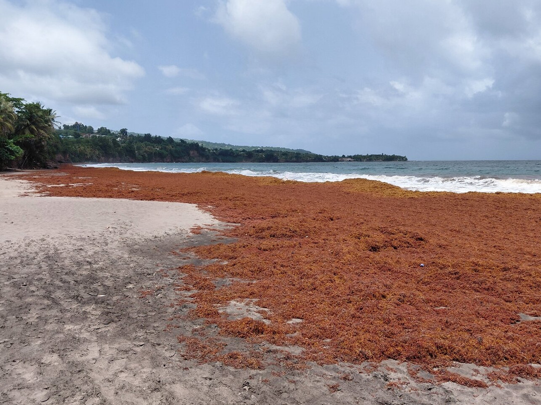 Plage de Grande Anse-Trois Rivieres必去景点
