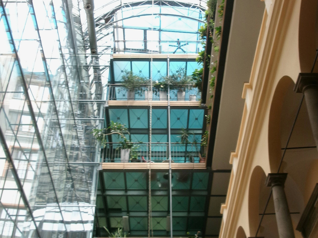 Dům Pánů z Lipé-布尔诺必去景点