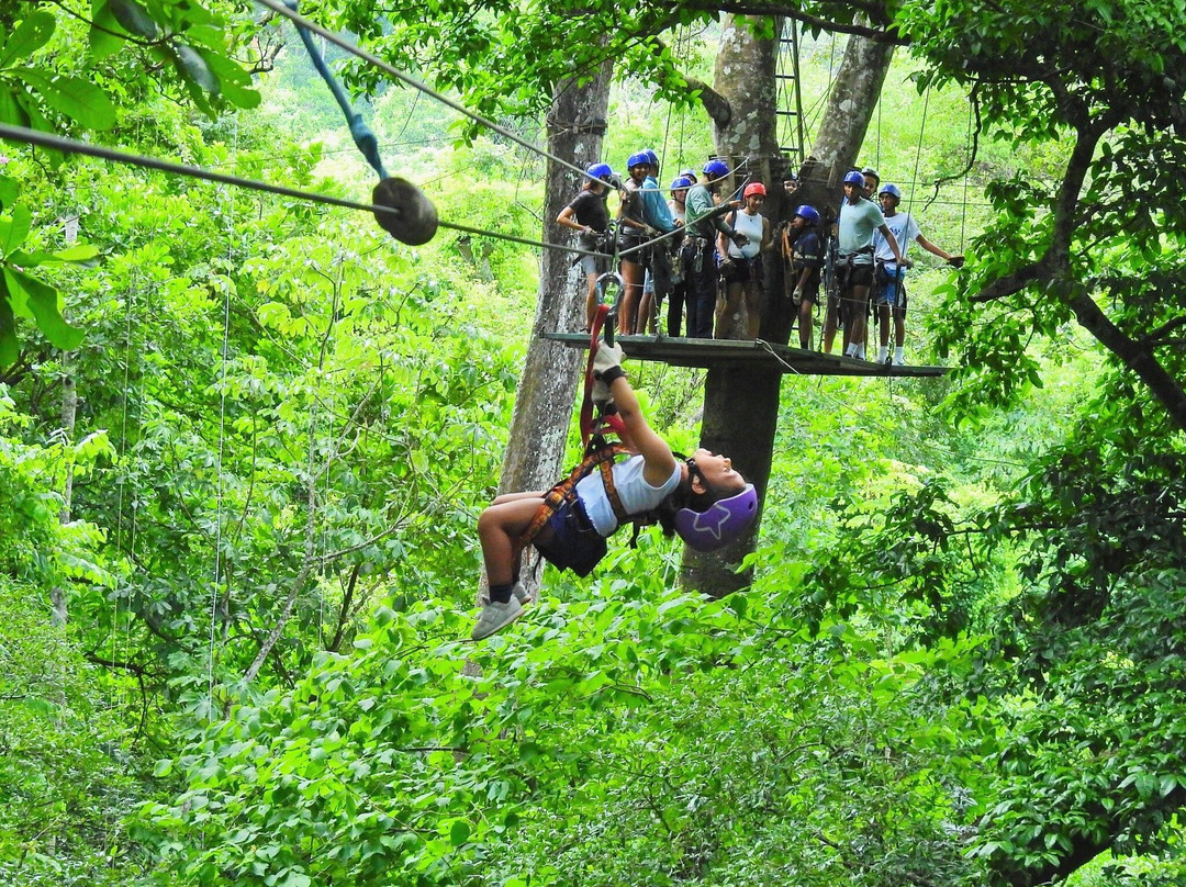 Congo Canopy Tours-Artola必去景点
