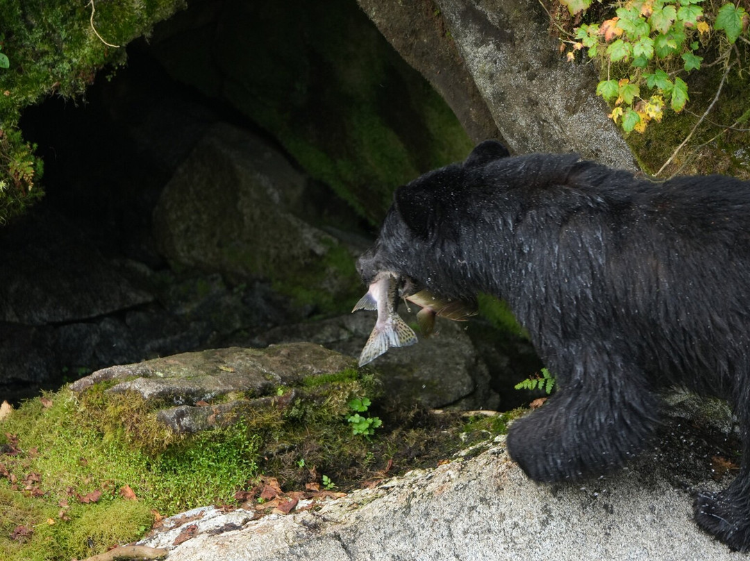 Breakaway Adventures Day Tours-Wrangell必去景点