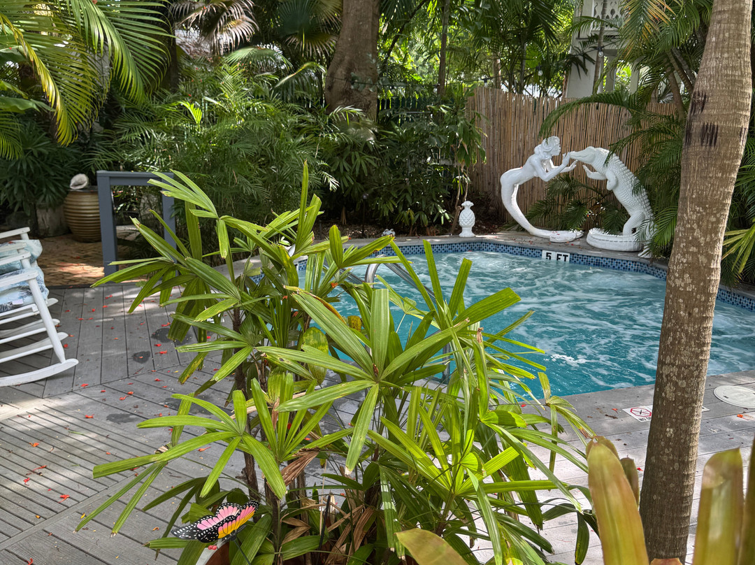 The Mermaid & The Alligator主图