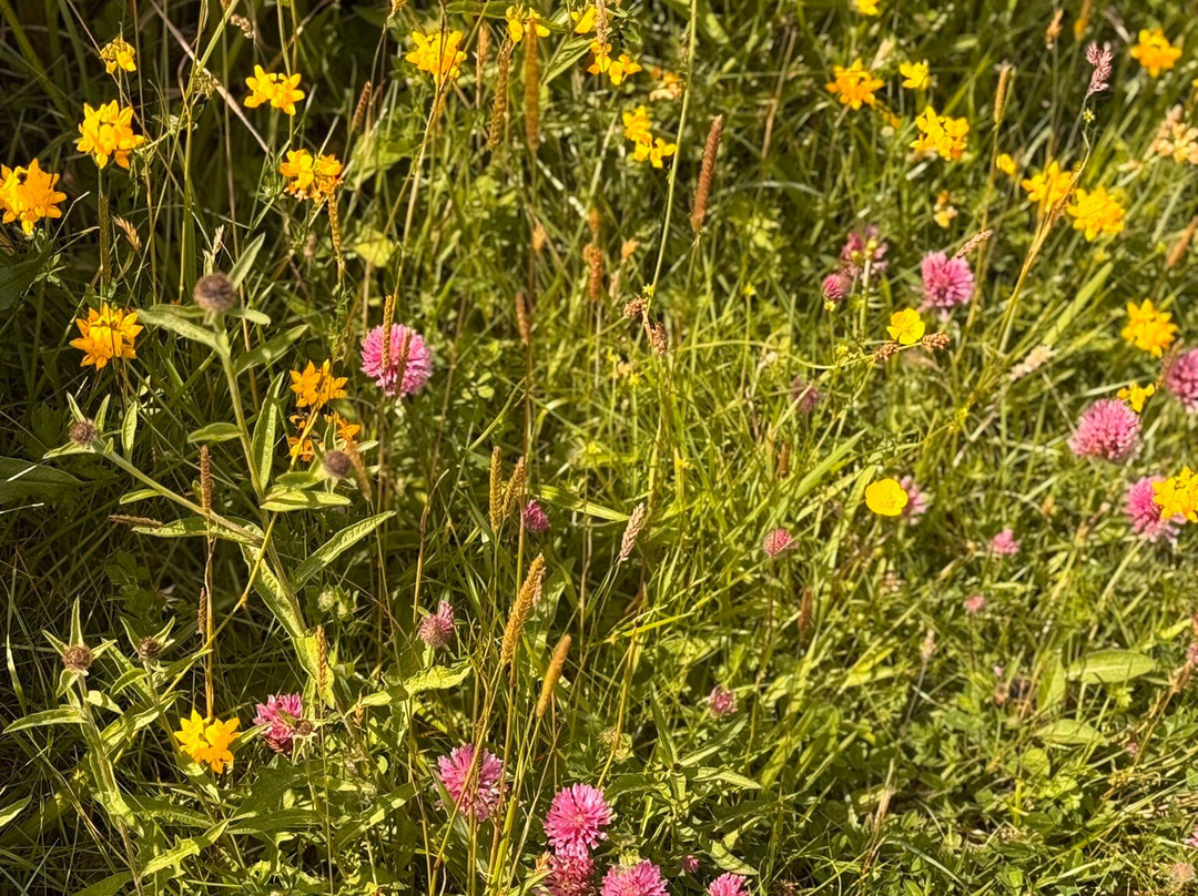 Isle of Skye Wildlife Tours -Tours-Portree必去景点
