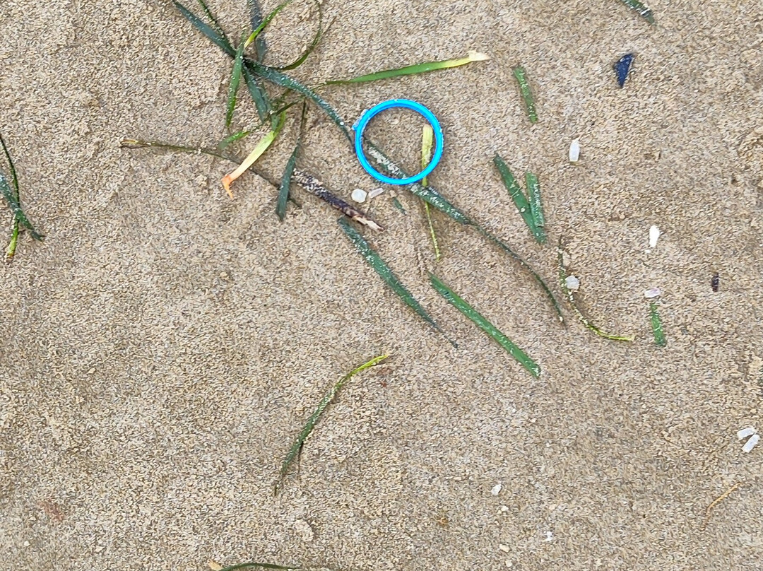 Playa de lenguadillos-萨洛必去景点