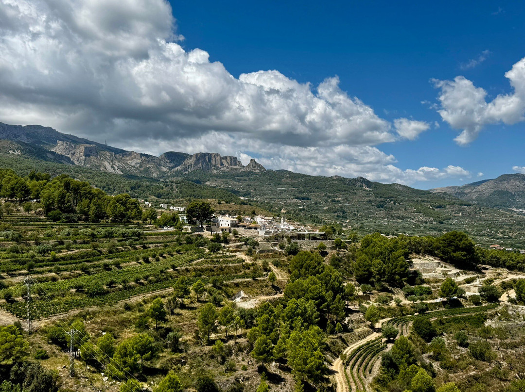 Mirador Plaza San Gregorio-瓜达莱斯特必去景点