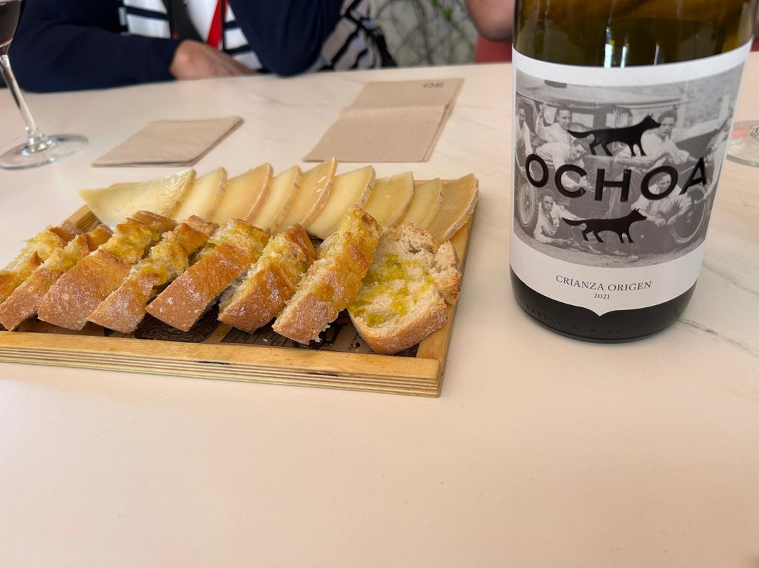 Bodegas Ochoa-Olite必去景点
