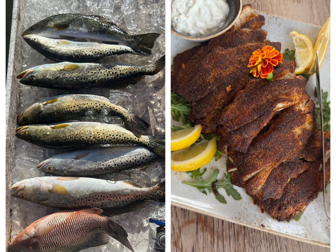 Anna Maria Charters-Holmes Beach必去景点