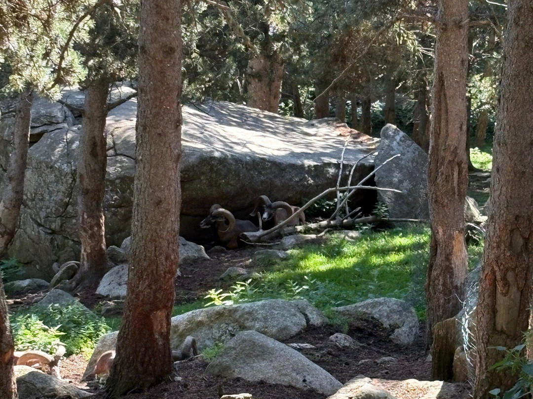 Parc animalier des Angles-Les Angles必去景点