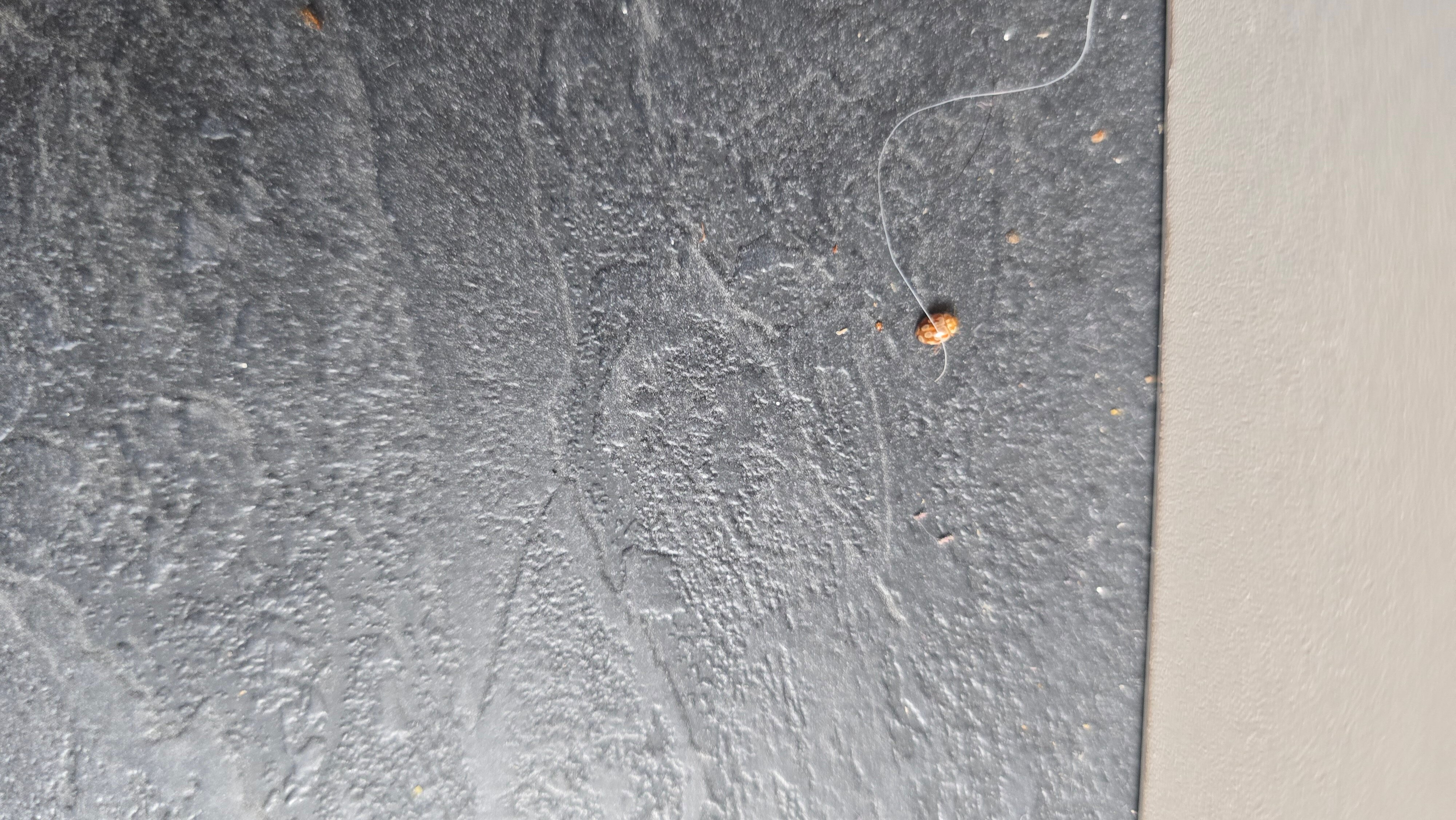 Villa Babilon-官方