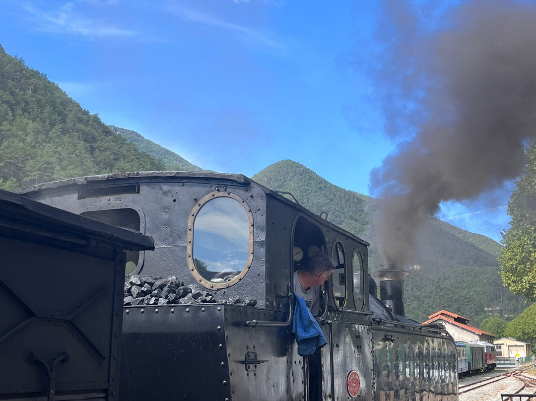 Train des Pignes a Vapeur-Puget Theniers必去景点
