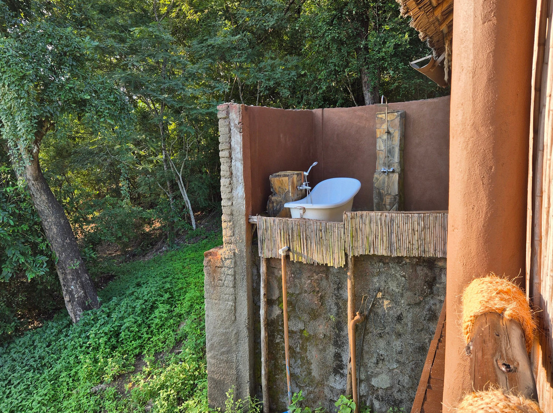 Tent With a View Safaris-Dar es Salaam必去景点