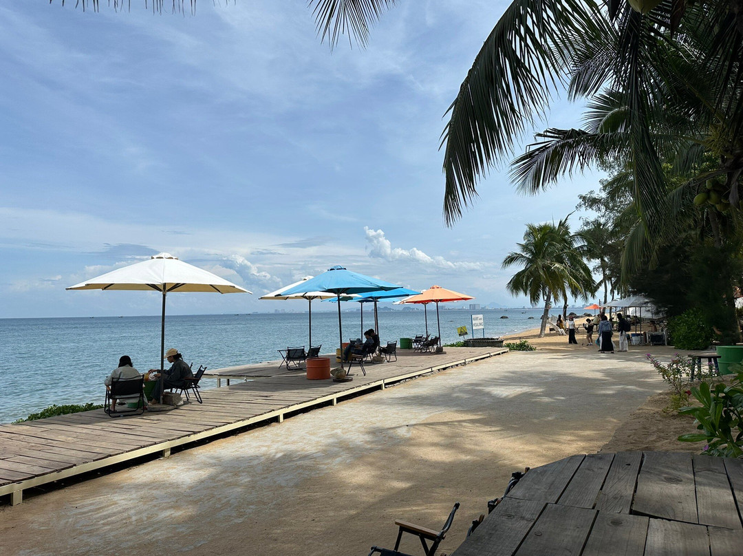 Cá Chuồn Space